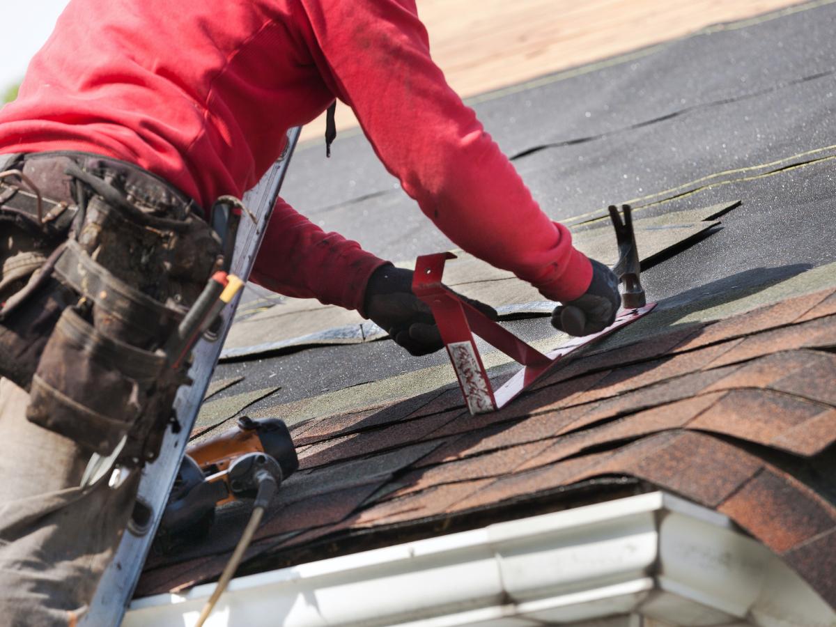 Person in red sweater tackling roof repair, expertly installing asphalt shingles with precision tools.